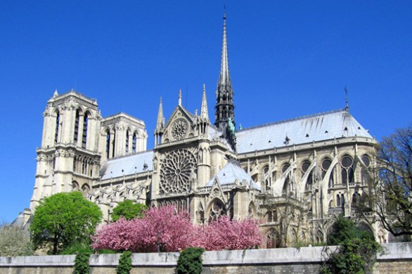 Catedral Notre Dame – Fabio Baião